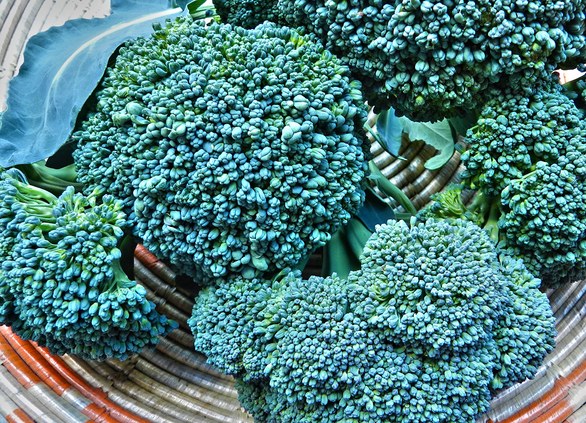 Broccoli