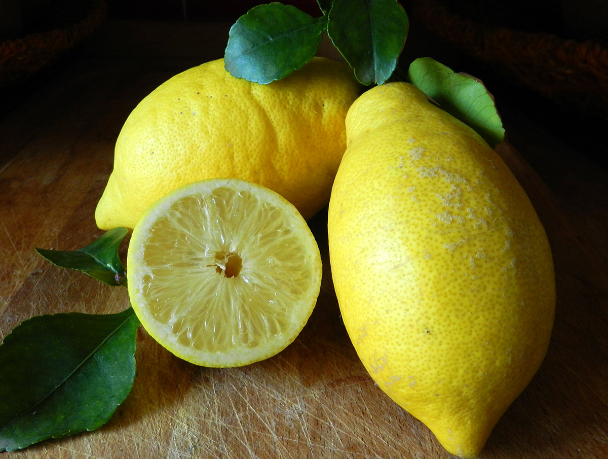 Il Limone dalle mille qualità